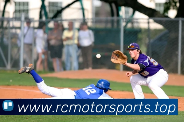 球赛投注平台生态图